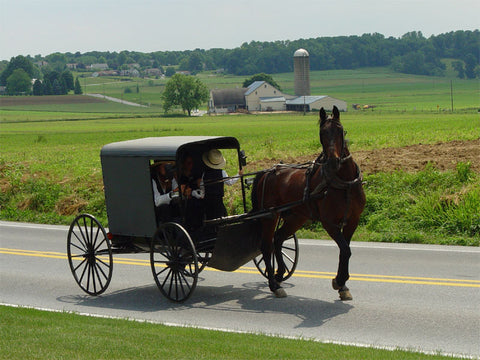 EXCURSÃO - Dois dias entre Washington DC e Filadélfia com passeio no condado Amish (uma noite)